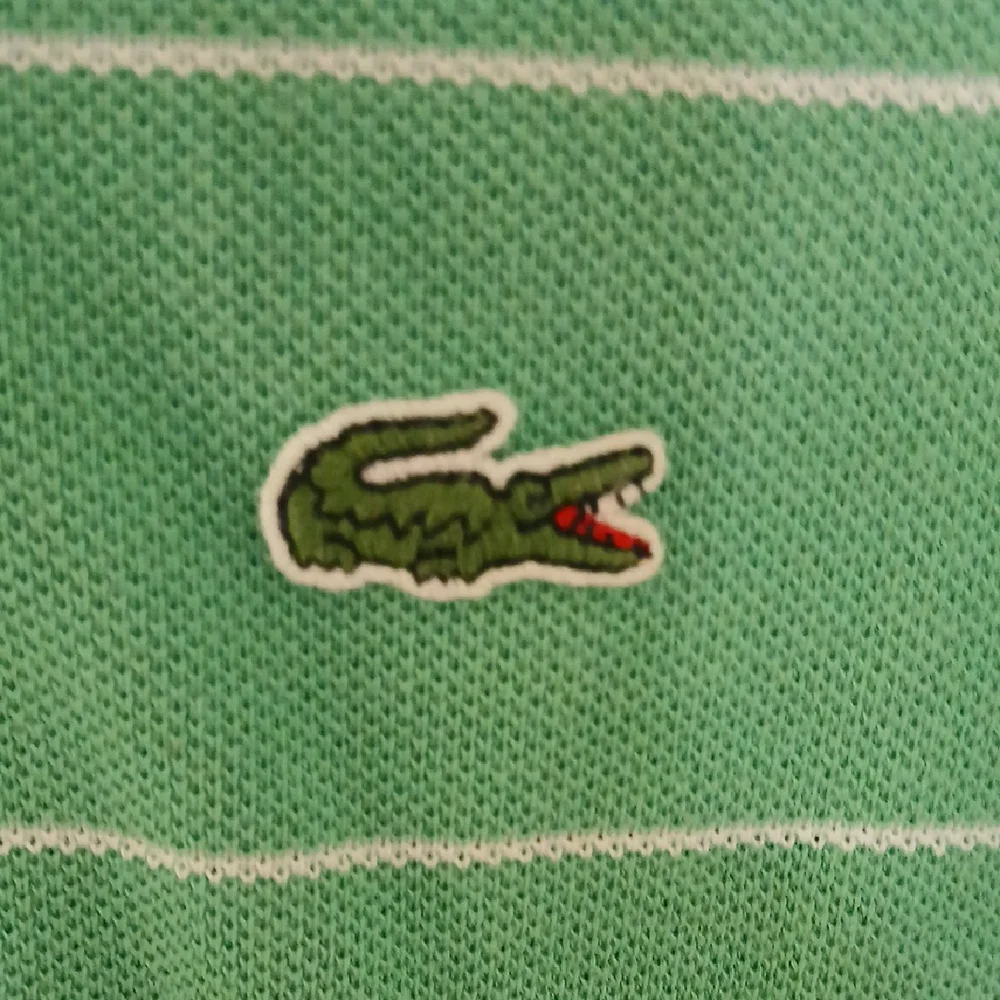 Lacoste Kids Polo in Green with White Stripes - Picture 3 of 5